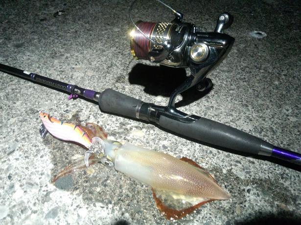 タックル｜ヤリイカエギング,時期,釣り方