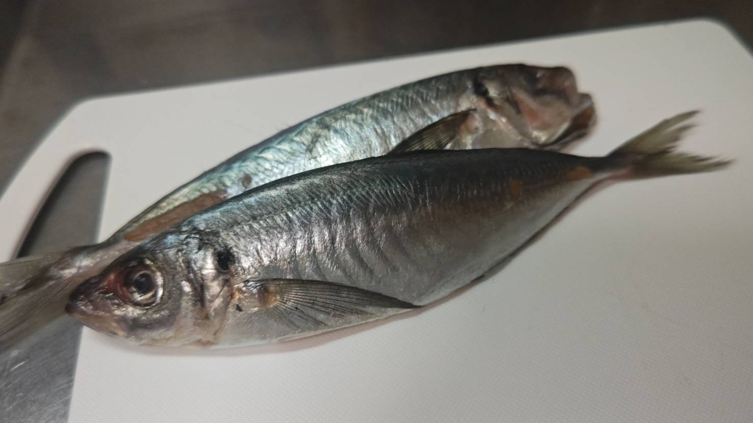 材料のアジ|アジとサンマのヤンニョムフィッシュ,レシピ,釣果メシ