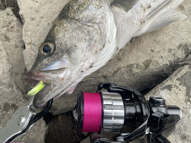 23ヴァンキッシュ,4000MHG,インプレ,シーバスリール,シマノ