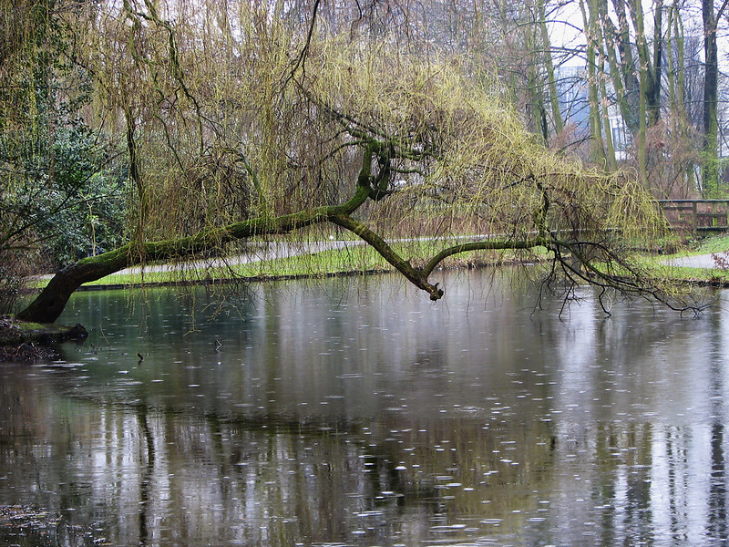 攻略ポイント｜野池,バス釣り攻略,釣り方,おすすめルアー