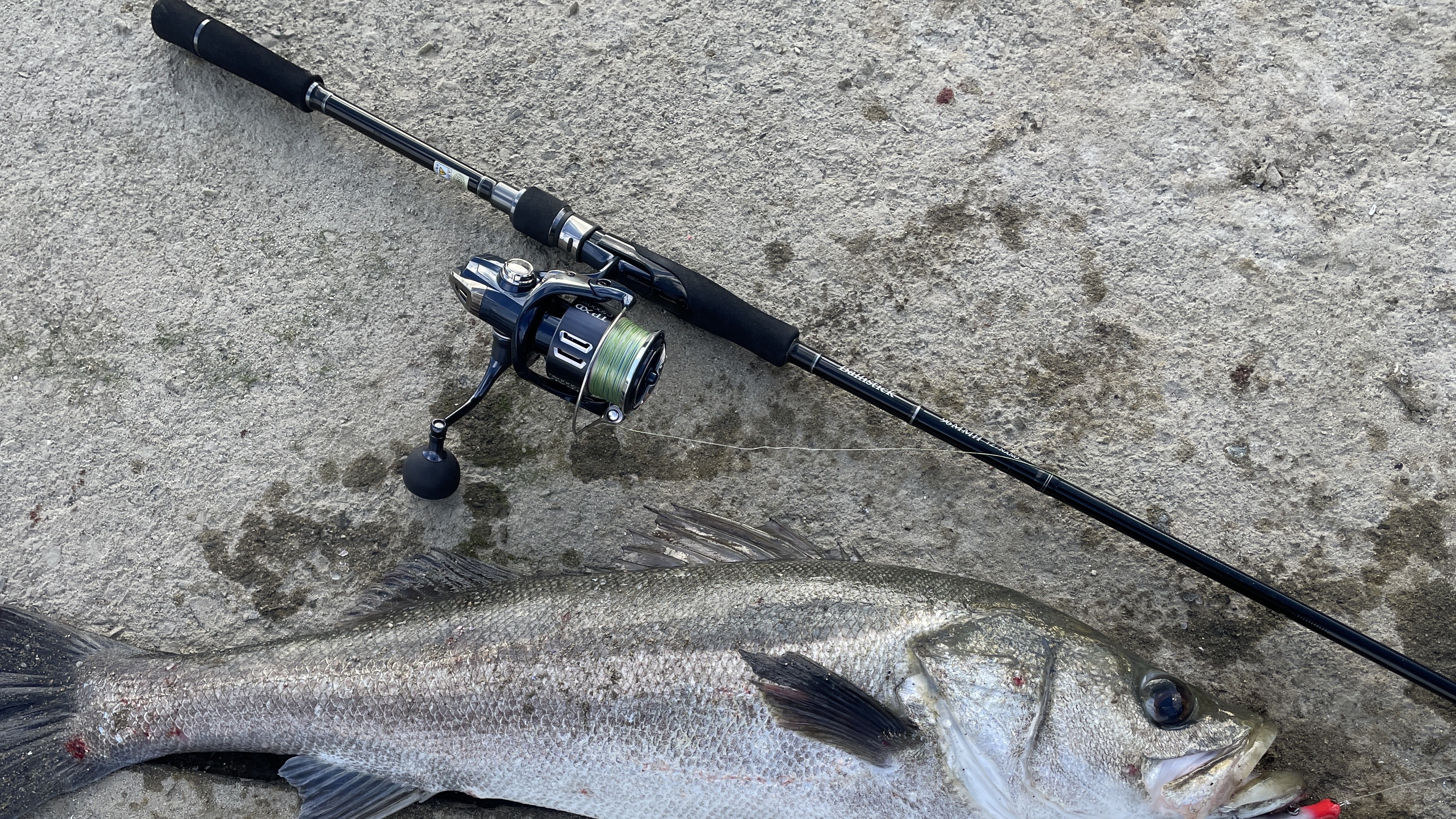 タックルバランス｜シーバス,リール,おすすめ,スピニングリール,ダイワ,シマノ