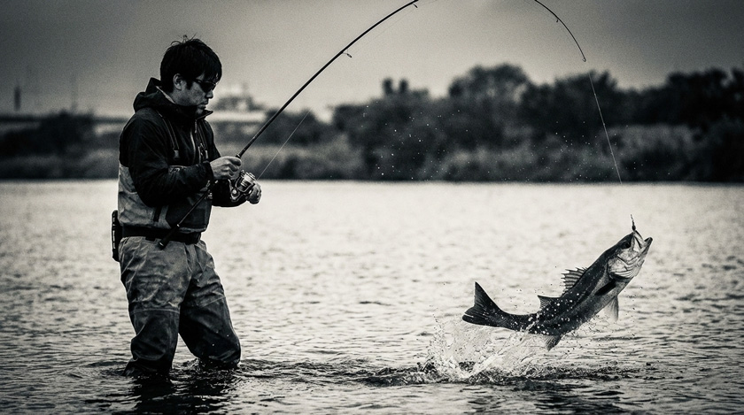 シーバスロッド,最強,ハイエンド,おすすめ