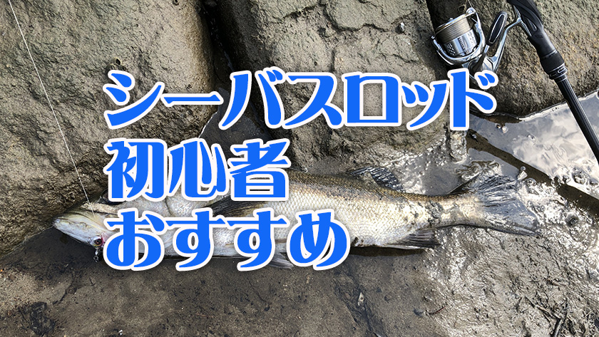 シーバスロッド,初心者,,おすすめ,選び方