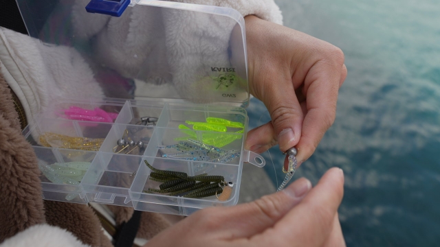 ケースでストレスフリー||アジング,ジグヘッドケース,おすすめ