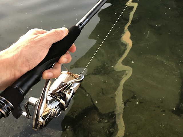 ∞(インフィニティ)との違い|18エクスセンスジェノス,インプレ,シーバスロッド