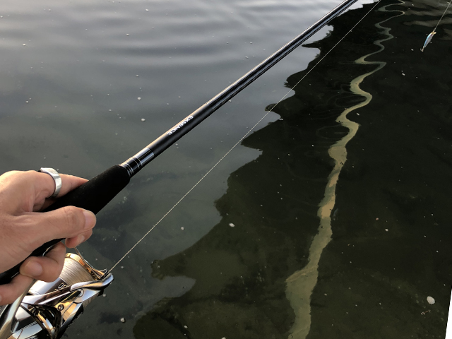 ブランクス|18エクスセンスジェノス,インプレ,シーバスロッド