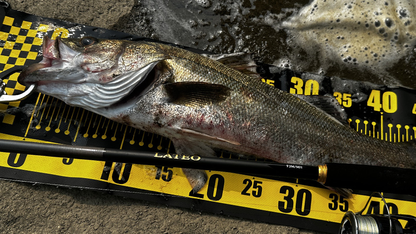 ラテオ,93M/MH,インプレ,シーバスロッド,ダイワ