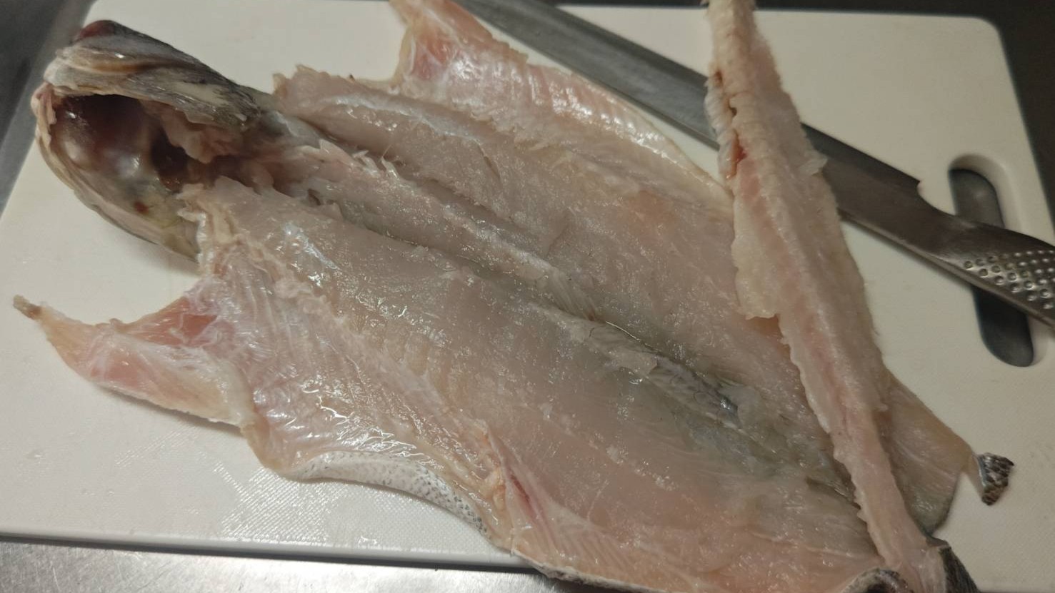 腹開きにする|すずきのレリエノ,クリスマスフィッシュ,つくり方,レシピ,釣果メシ