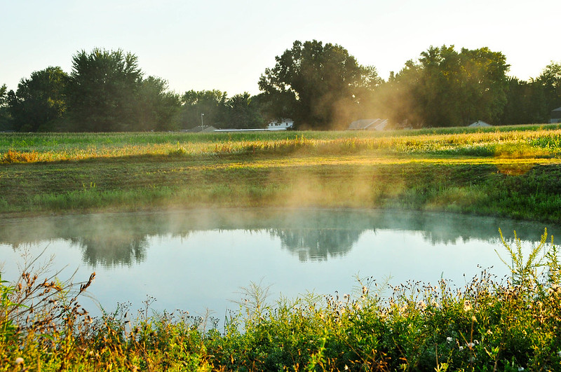 野池,バス釣り攻略,釣り方,おすすめルアー