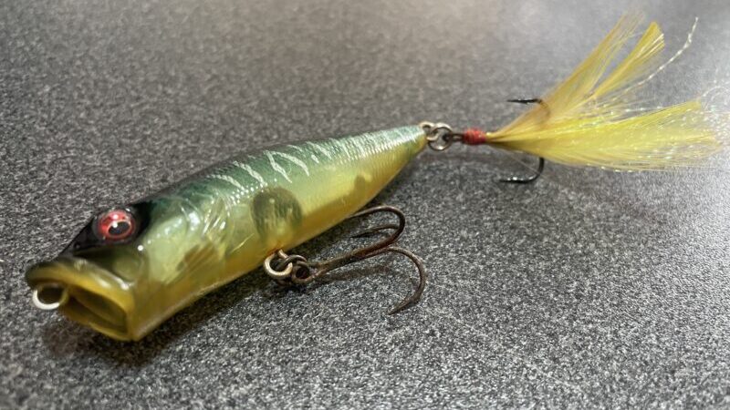 ポッパー,ハードルアー｜バス釣りのスピニングに適したルアーとワーム&リグ