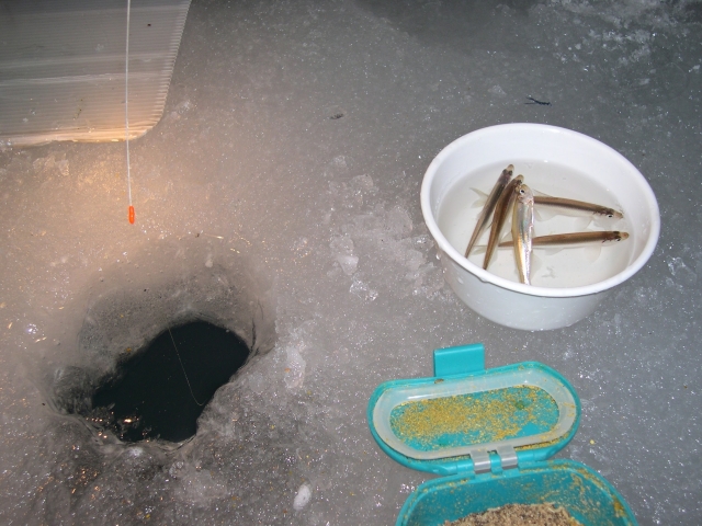 人気のワカサギ釣り｜ワカサギロッド,おすすめ