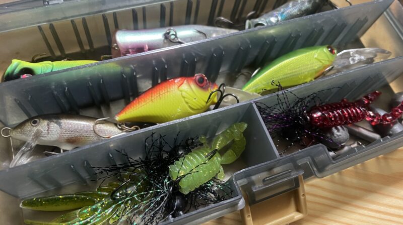 ルアー|チニング,冬,釣り方,タックル