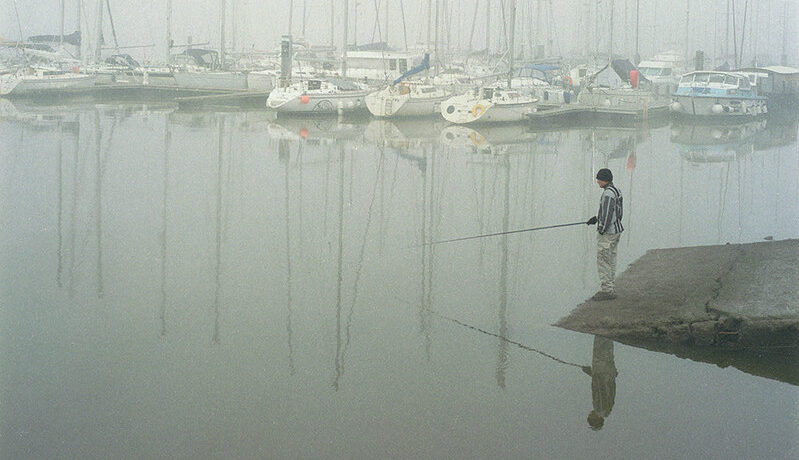 真冬,シーバス,デイゲーム,釣り方,ルアー