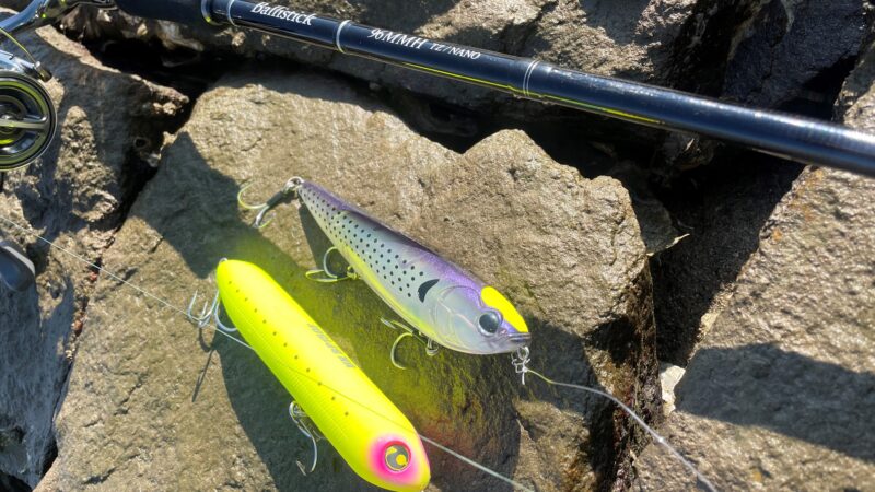 トップペンシル試投｜ヤマガブランクス,バリスティック,インプレ,シーバスロッド