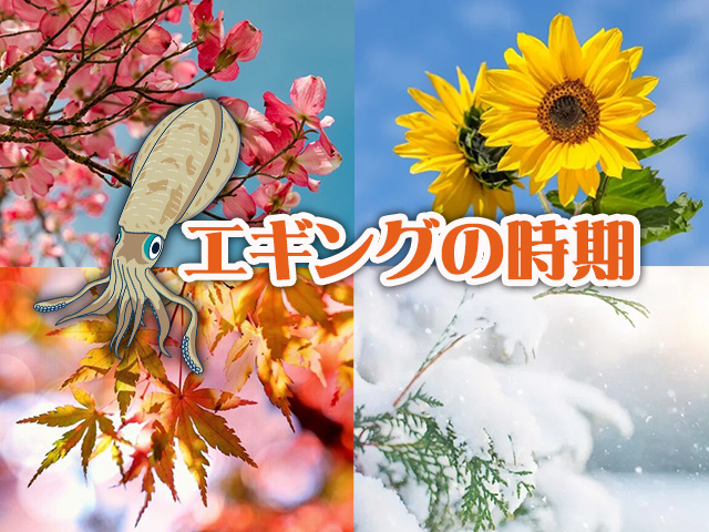 エギング,時期,シーズン,釣り方