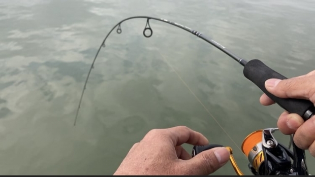 タックル｜春,アジング,釣り方,おすすめワーム,ポイント