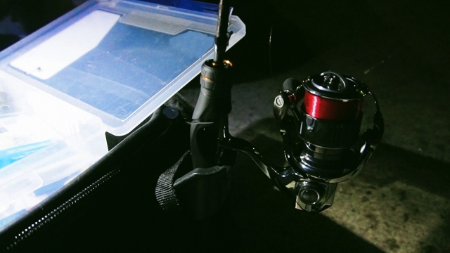 春のナイトエギング|春エギング,おすすめエギ,釣り方,しゃくり方,時間