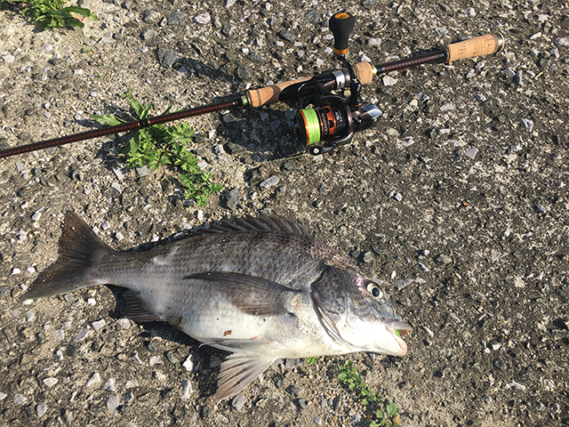 アシンメトリー（非対称）に配置｜釣果写真,撮り方,インスタ,映え,自撮り