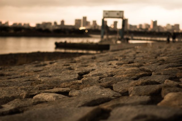 岸壁際と水門｜マイクロベイトパターン,釣り方,ルアー,シーバス