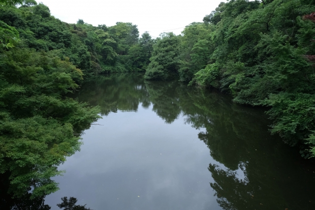デカバスは上のレンジから｜春,バス釣り,野池,釣り方,ルアー