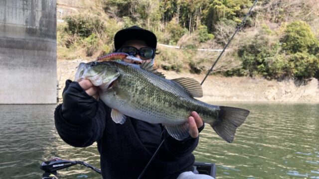 春｜バス釣り,時期,シーズン,傾向,釣り方,ルアー