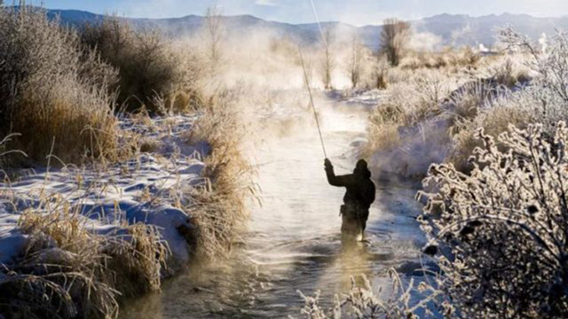 冬|シーバス,時期,釣り方,パターン,おすすめルアー