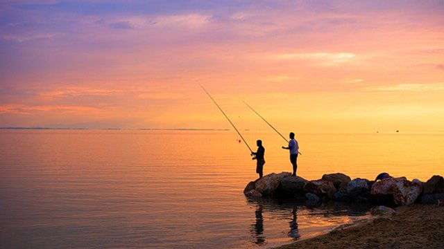 夏|シーバス,時期,釣り方,パターン,おすすめルアー