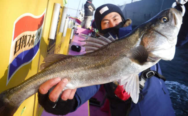 冬,東京湾,ボートシーバス