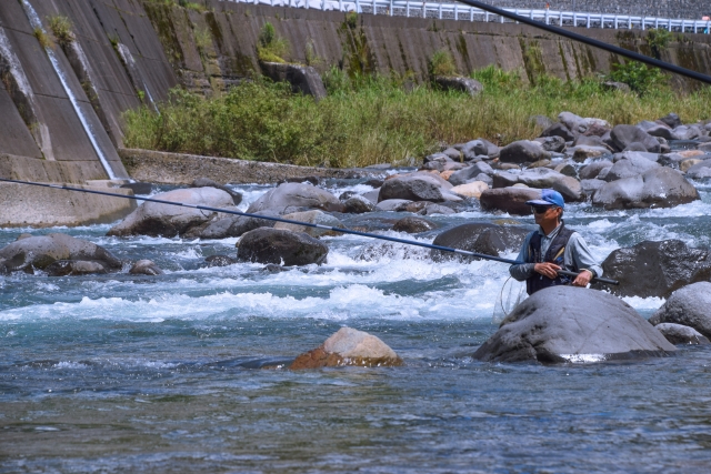 鮎釣り,初心者,時期,道具,ガイド