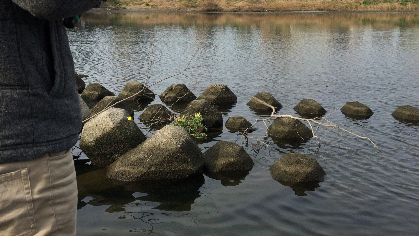 ポイント選び｜スモールマウスバス,釣れる場所,ポイント,釣り方