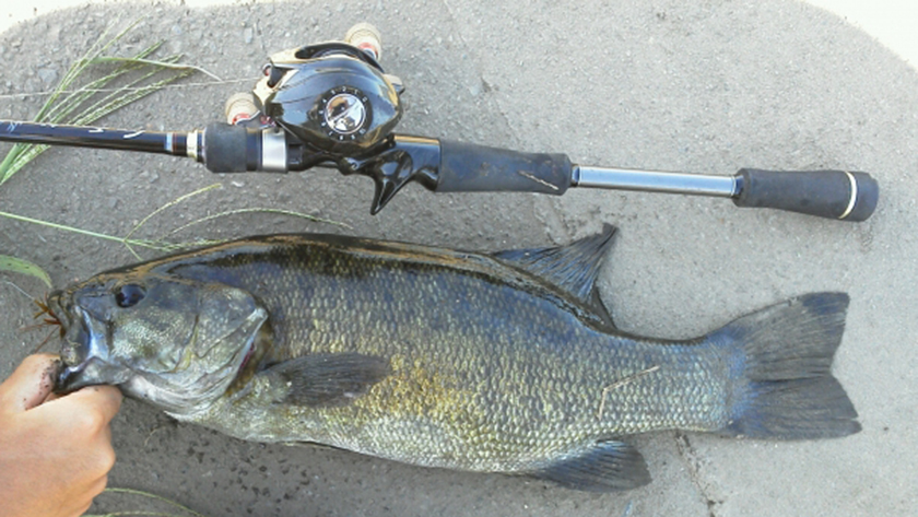 求められる条件|スモールマウスバス,ロッド,おすすめ