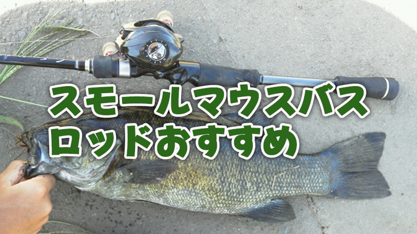 スモールマウスバス,ロッド,おすすめ