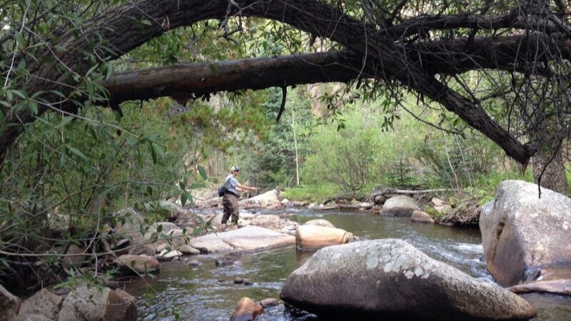 渓流釣り,釣り方,ルアー,ミャク釣り,テンカラ,フライ
