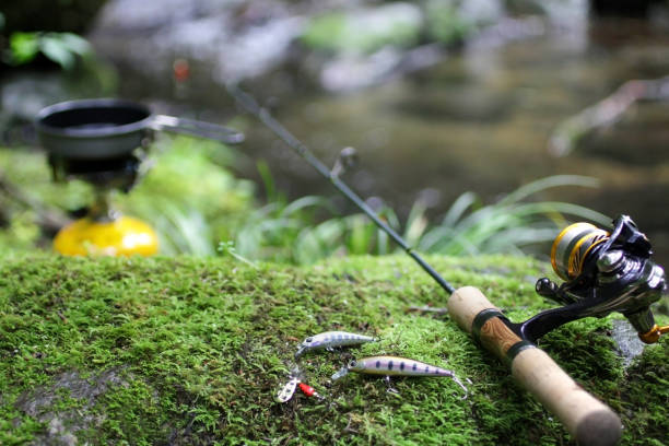 カラーと釣果の関係｜渓流ルアー,カラー,選び方,釣り方