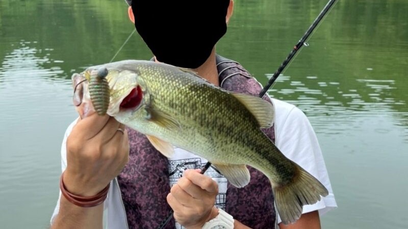 垂直に落ちた場所,釣り方&ポイント｜減水しきった水量の少ない湖,攻略法