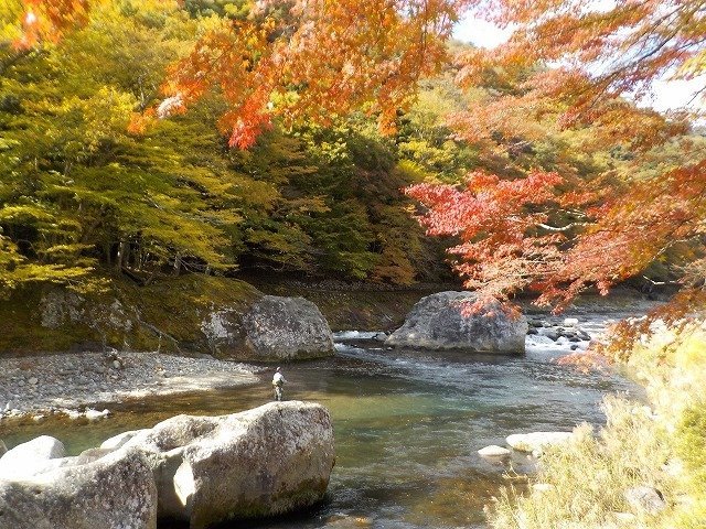 9月,秋,終盤｜渓流釣り,時期,春,夏,秋