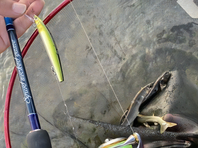 アユイング,タックル,ロッド,リール,ルアー,ライン