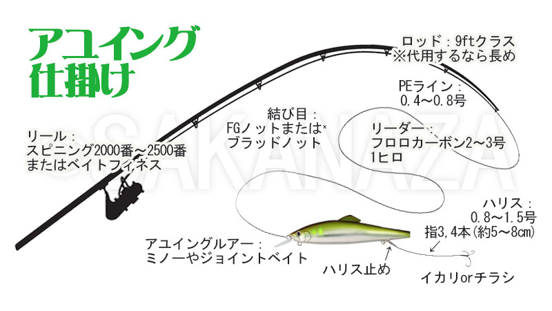 アユイング,仕掛け