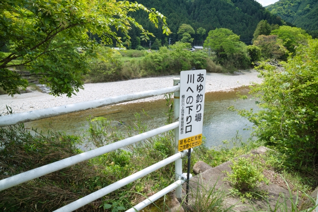 解禁日｜鮎釣り,時期,期間