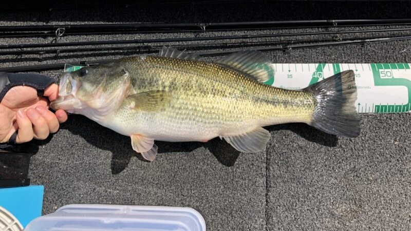 橋脚｜減水しきった水量の少ない湖,攻略法