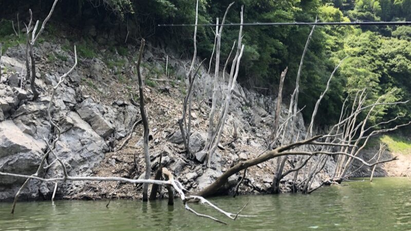 ストラクチャー,弱点｜減水しきった水量の少ない湖,釣り方