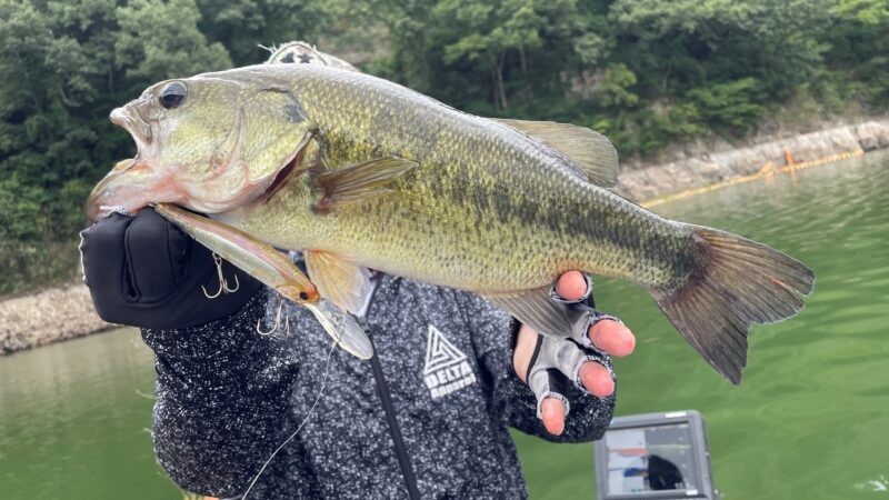 浮きフェンスの際｜減水しきった水量の少ない湖,攻略法