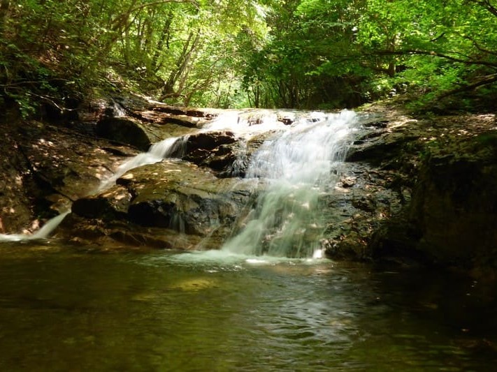 真夏,8月｜渓流釣り,時期,春,夏,秋