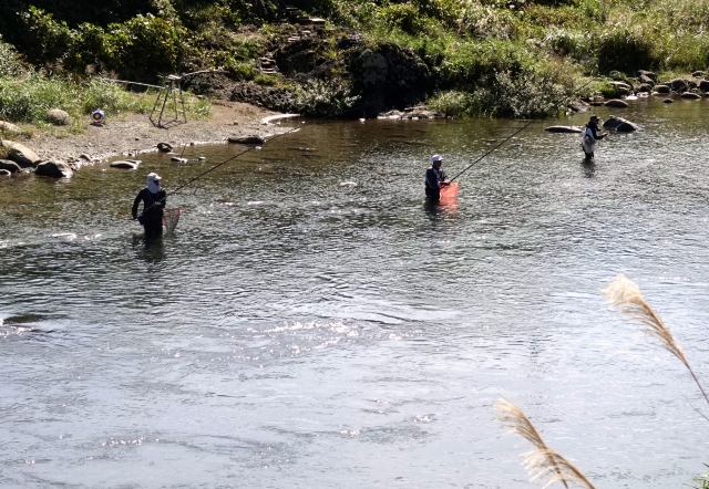ルアー釣り禁止河川｜アユイング,タックル,ルアー