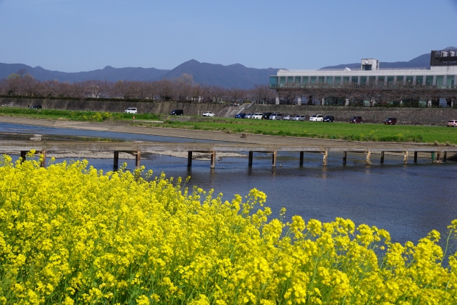 春3月、4月｜渓流釣り,時期,春,夏,秋