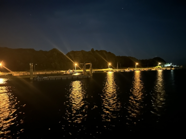 釣れるポイント｜イカパターン,攻略,釣り方,ルアー,タックル