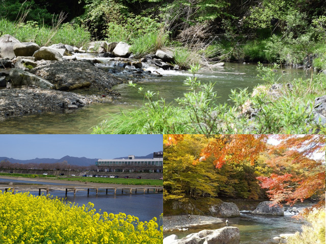 渓流釣り,時期,春,初夏,夏,秋