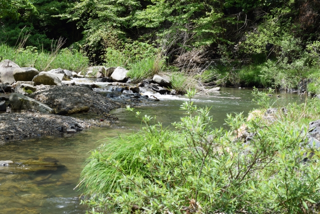 初夏6月,7月,梅雨明け｜渓流釣り,時期,春,夏,秋