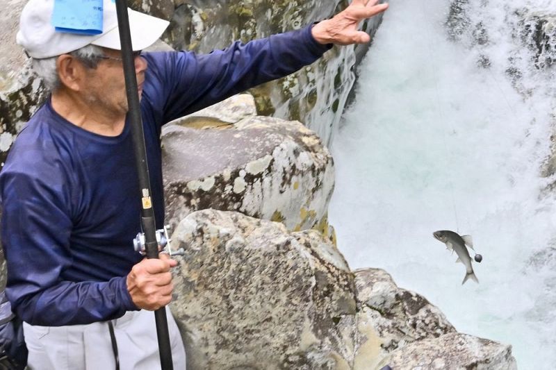 鮎,トントン釣り,,釣り方