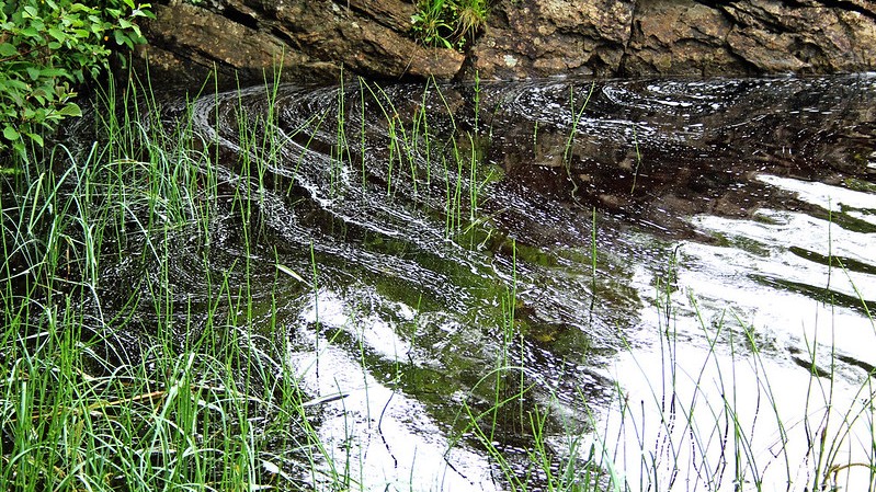 水質が悪い,弱点｜減水しきった水量の少ない湖,釣り方